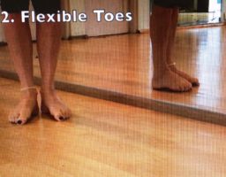 flexible toes