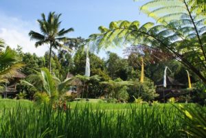 Holistic Tango Retreat